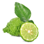 BERGAMOT